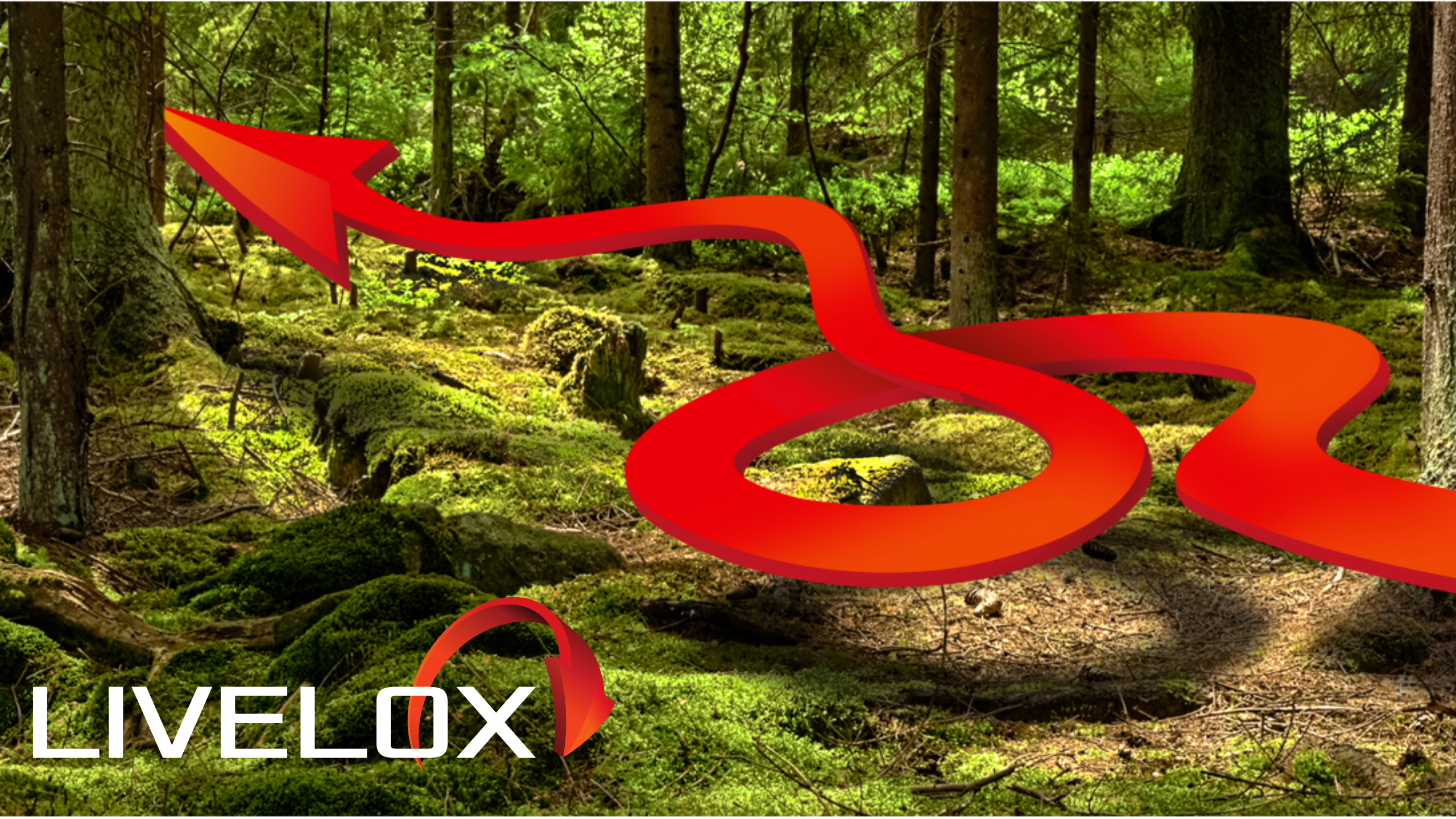 Livelox project placeholder image